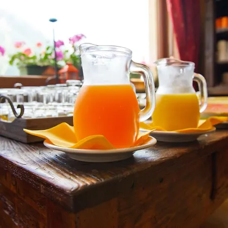 Valentino 酒店 Bionaz