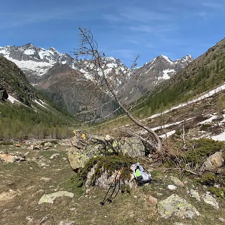 Valentino 酒店 Bionaz